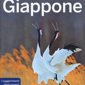 giappone guida lonely planet 2020 tuttogiappone