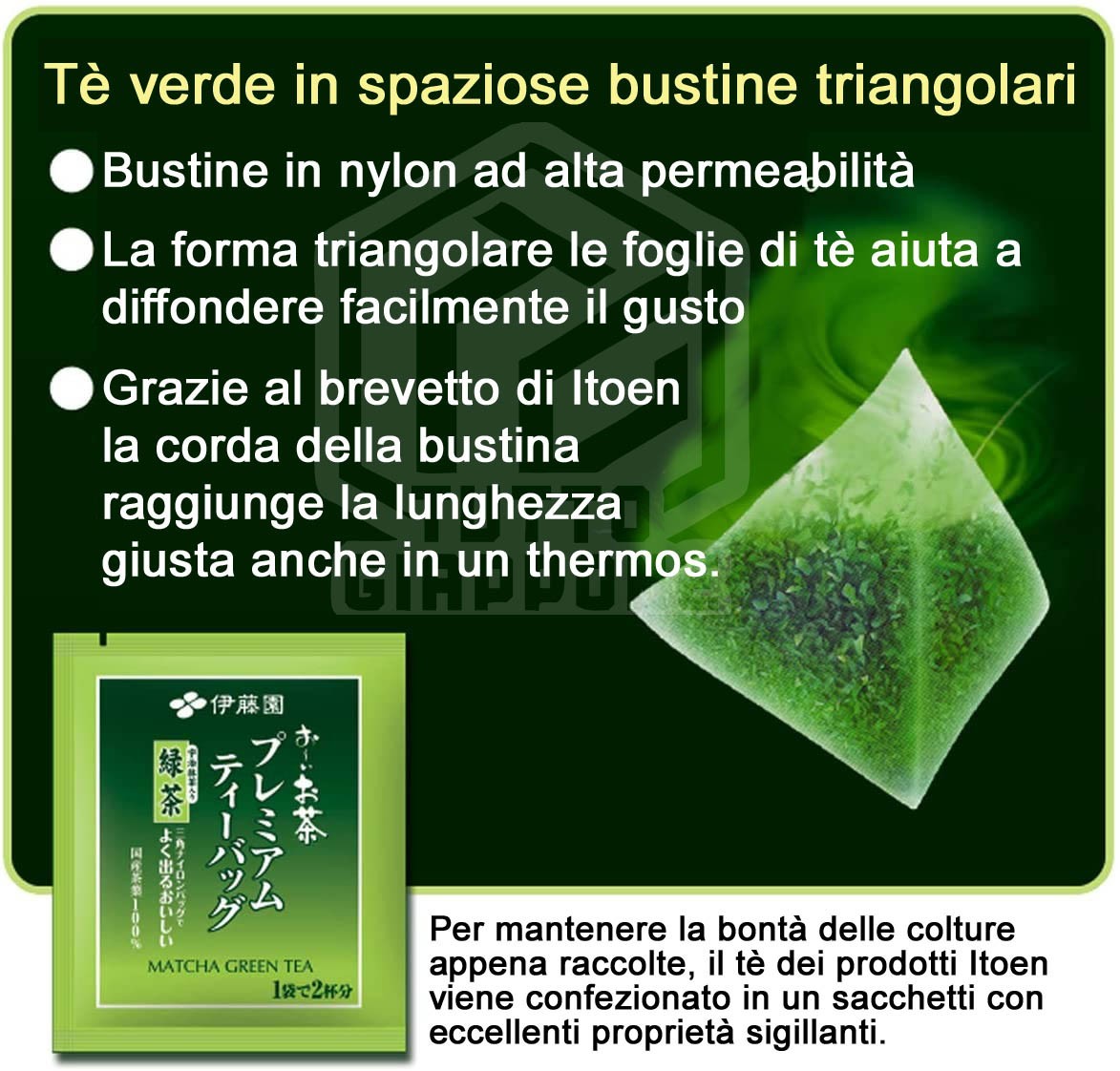 Itoen Oi Tea Premium - Tè verde in bustina triangolare con tè matcha di Uji  - 1,8g x 50 bustine - TuttoGiappone