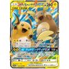Pokemon Card Sun Moon Tag Tea GX GG End RAICHUUARORARAICHUUGX TuttoGiappone