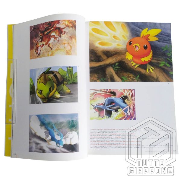 Pokemon Illust Collection Art Book Cosplay Pikachu 099 XY P Rayquaza 100 XY P 10 TuttoGiappone