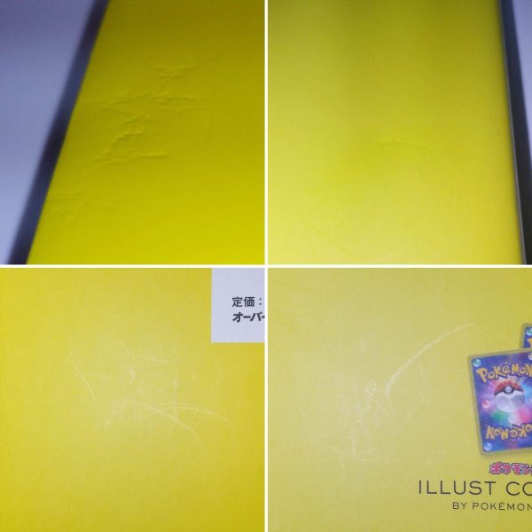 Pokemon Illust Collection Art Book Cosplay Pikachu 099 XY P Rayquaza 100 XY P 13 TuttoGiappone